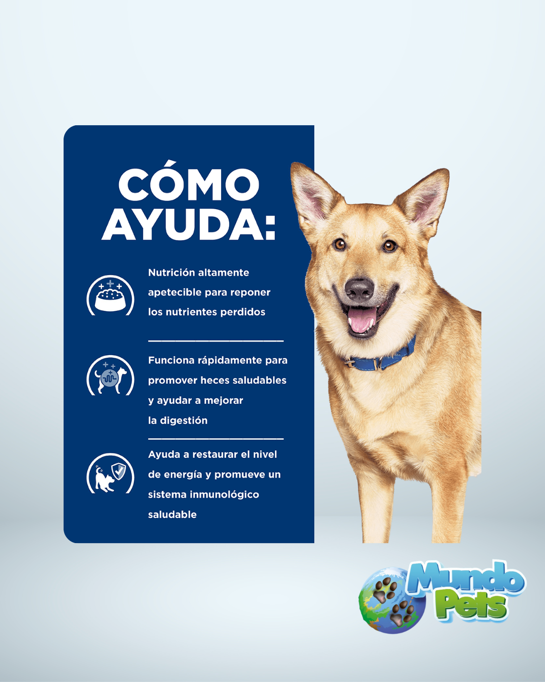 Hills Perro Diet Digestive Care I/D Pollo