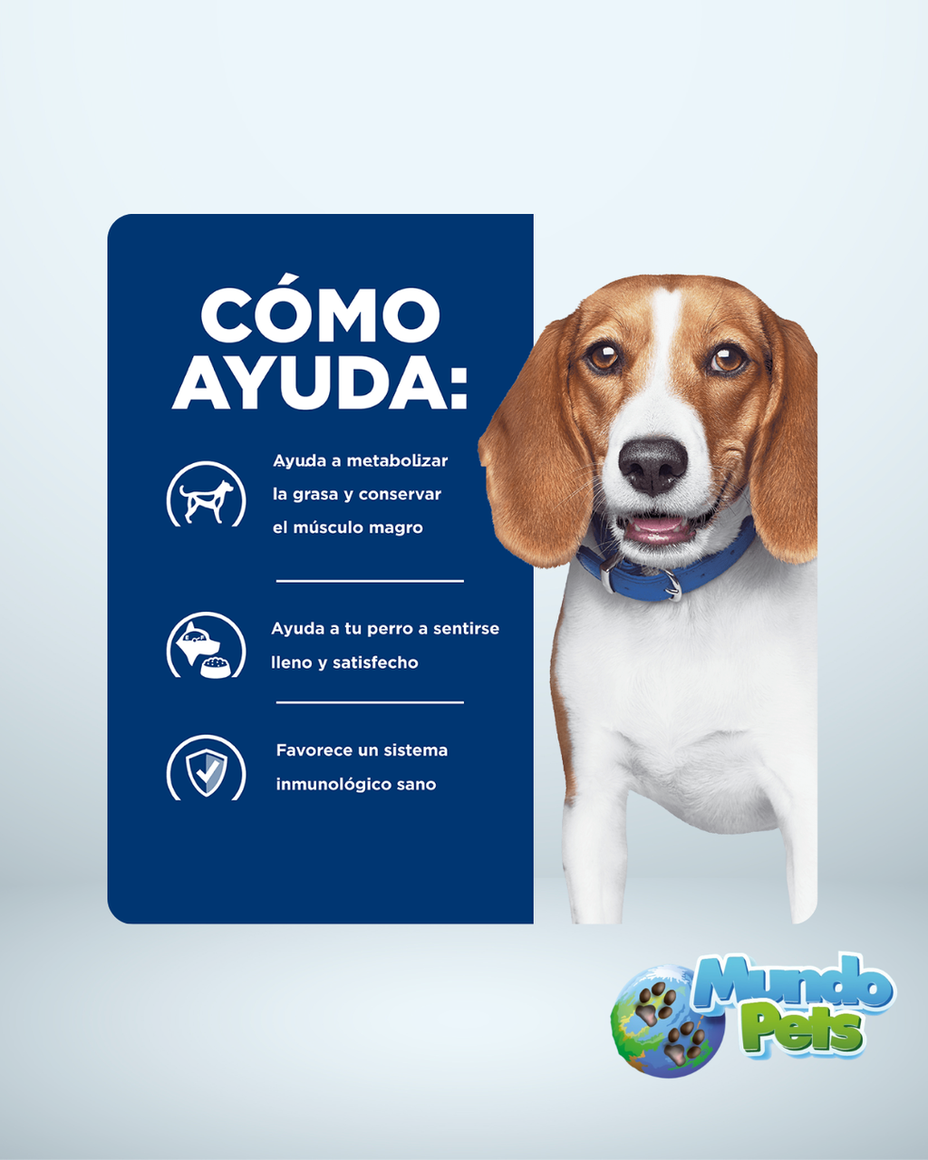 Hills Perro Diet Prescription Reduccion De Peso RD Pollo