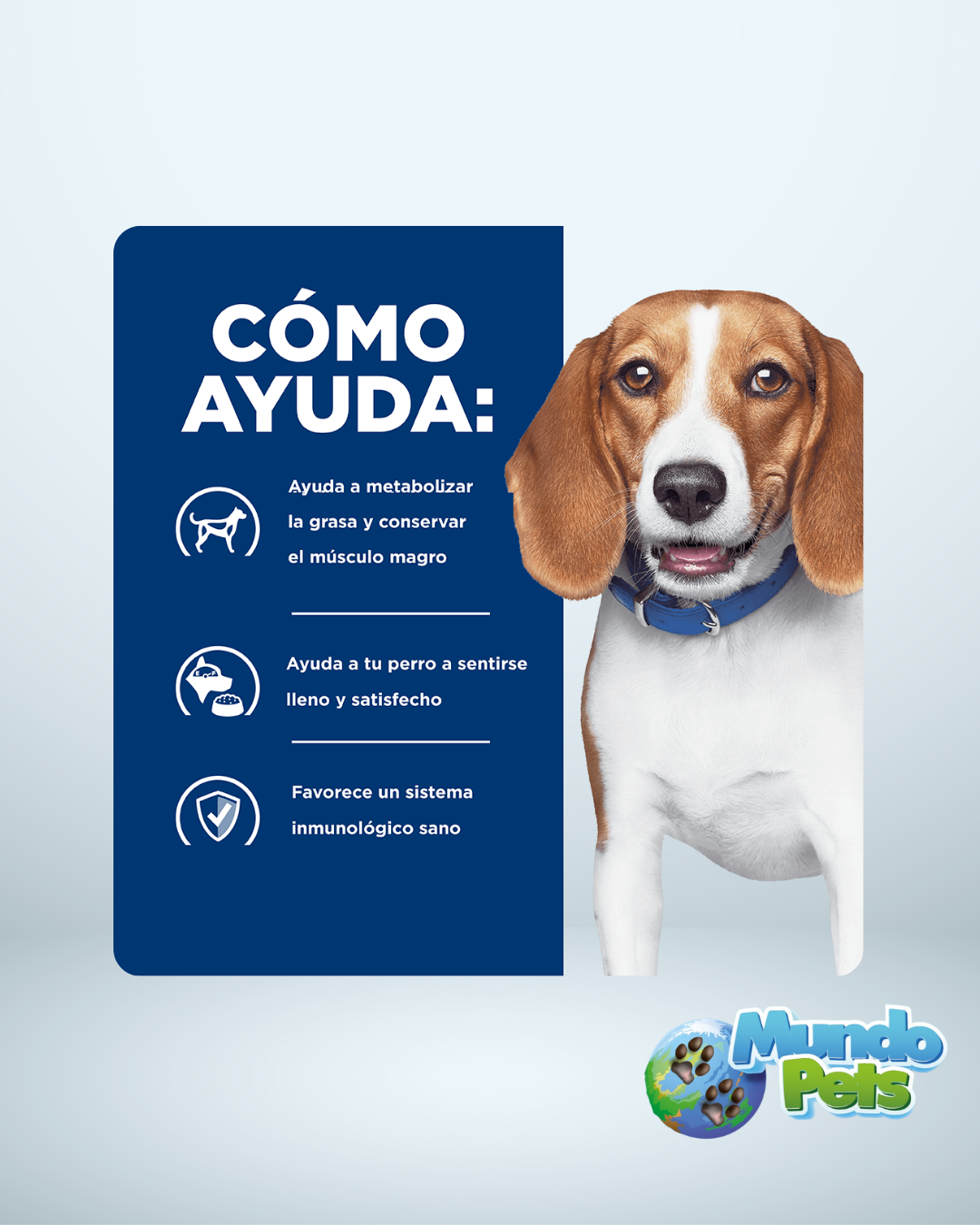 Hills Perro Diet Prescription Reduccion De Peso RD Pollo